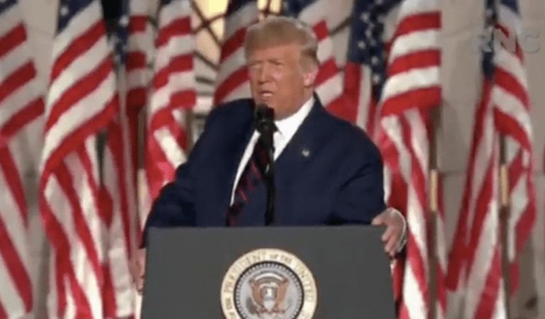 Trump Throws Down the Gauntlet in Successful Speech: “How can the Democrats lead our country when they spend so much time tearing down our country?”