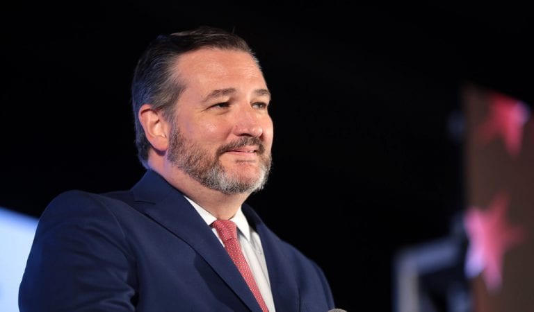 Ted Cruz Calls Out The Left’s Racism After Being Called “Stephen from Django”