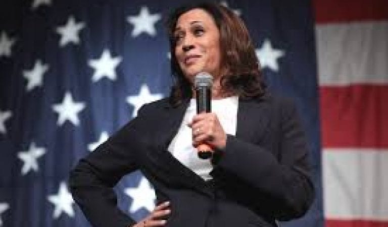 REVOLT: Democrat Voters FURIOUS Biden Chose Kamala “a Cop” Harris as VP Running Mate