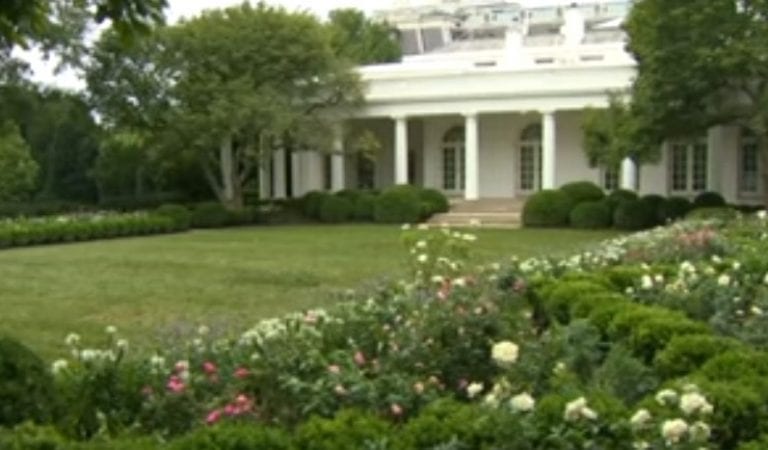 Melania Trump Redesigned the White House Rose Garden and Liberals Are Furious