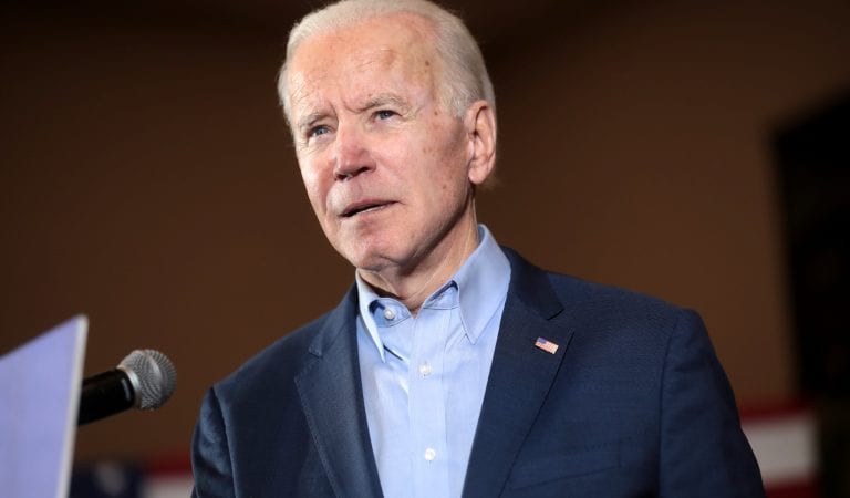 New Op-Ed to Pastors for Biden: “Have You No Fear of the Almighty?”