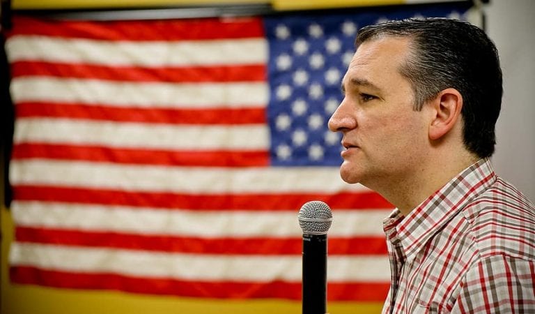 Ted Cruz Says “Many Liberal Males Never Grow Balls,” The Left Reacts in Outrage