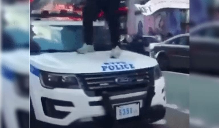 When The NYPD Has Finally Had Enough….BAM!