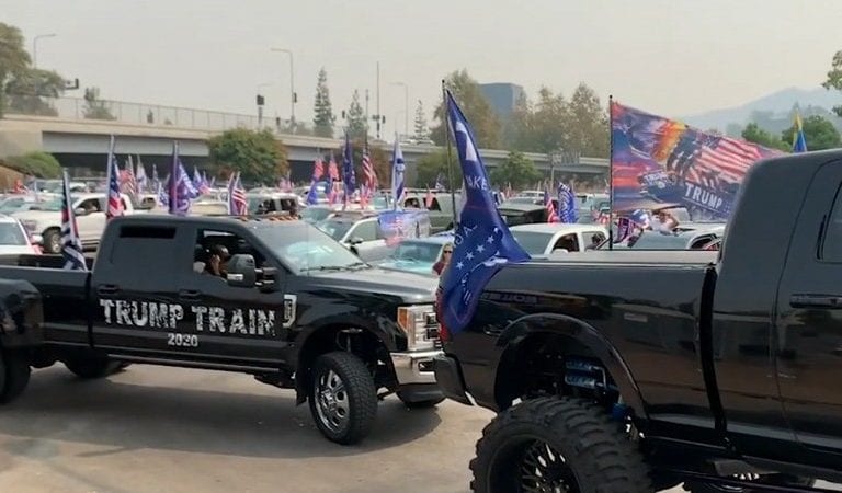 Watch: Hundreds of Pro-Trump Supporters Partake in ‘Rally in the Valley’ in Los Angeles