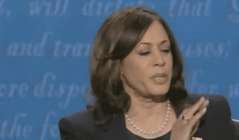 Kamala Harris’ Condescending Facial Expressions Backfired, Say Undecided Voters