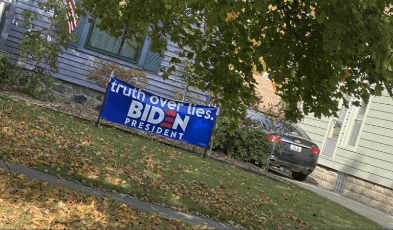 Florida Man Accused of Stealing Bulldozer to Bulldoze Biden-Harris Signs