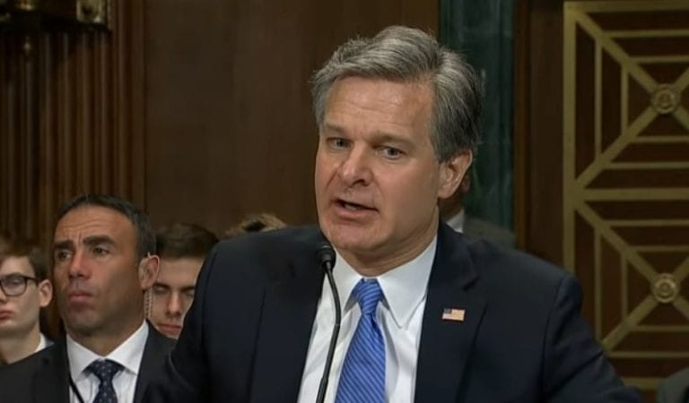 Reports: “FBI Director Christopher Wray Will Be Fired If Trump Wins Re-election”