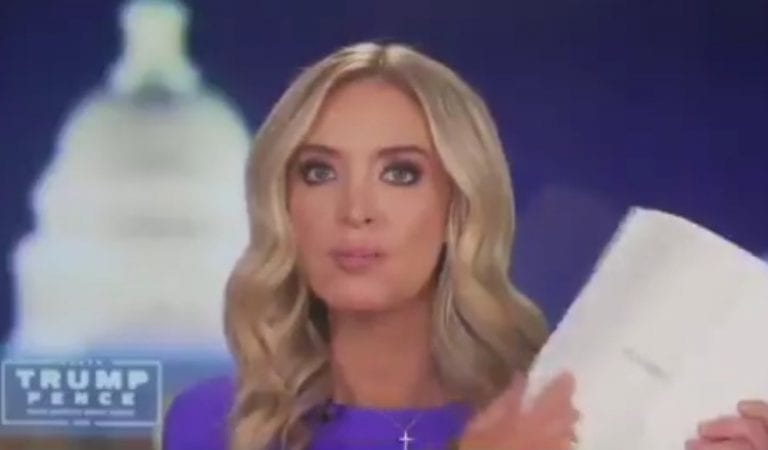 Kayleigh McEnany Announces There Are 234 Pages Of Sworn Affidavits Alleging Election Fraud In Wayne County, Michigan