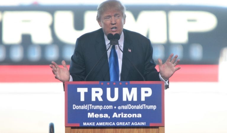 Trump Receives 75% of Votes in Latest AZ Batch; Within 15K Vote Striking Distance
