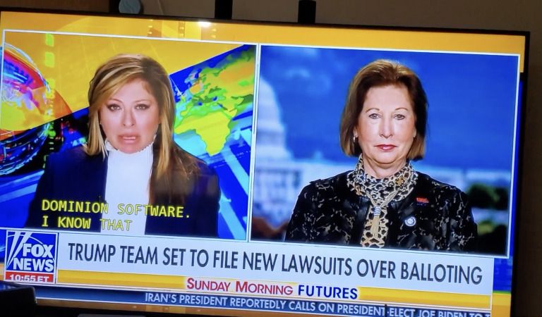 Bulldog Trump Attorney Sidney Powell: “We’ve Identified 450,000 Ballots that Miraculously ONLY have a Vote for Joe Biden”