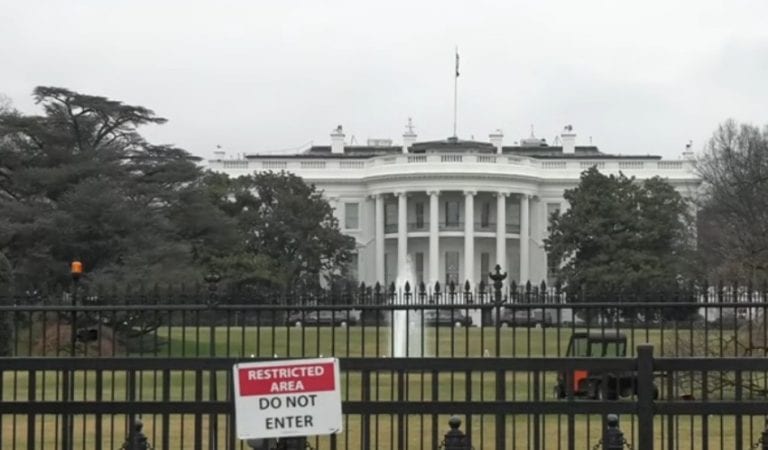 The Secret Service Arrests A Fence Climber Near The White House