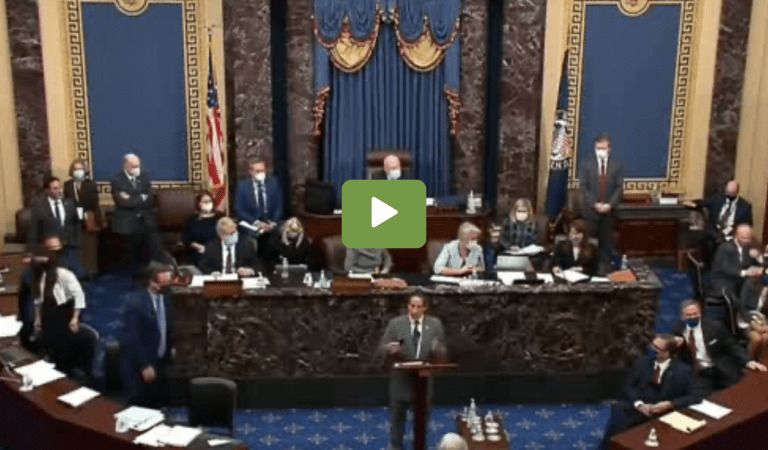 House Democrats Admit They Used “Fake News” As Evidence In Trump Impeachment