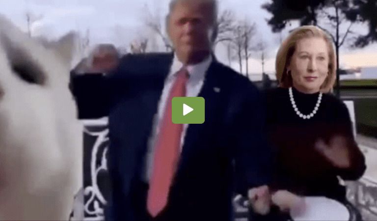 TRUMP AND POWELL: Hilarious Video Celebrating Impeachment Win!