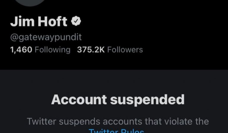 Gateway Pundit’s Twitter Account Is Suspended After Announcing More Election Fraud Proof Would Be Released