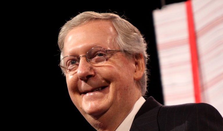 It Looks Like Mitch McConnell May Be The Latest RINO In The Hot-Seat……