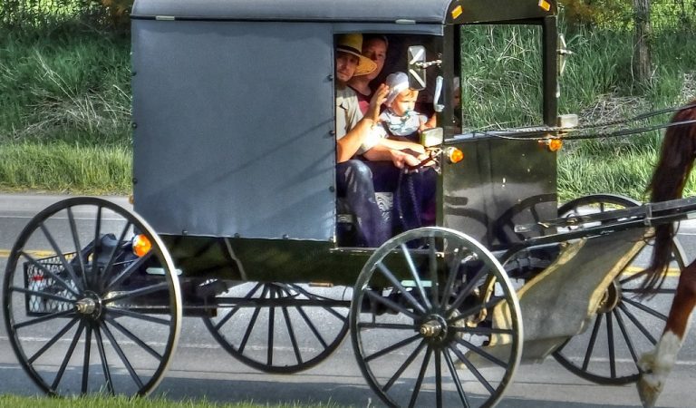 Amish Community the First in America to Reach COVID-19 Herd Immunity