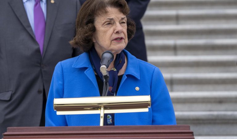 After the House Passes New Gun Control Legislation, Senator Diane Feinstein Calls for an Assault Weapons Ban