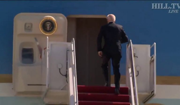 Did Joe Biden Just Fall Down The Steps of AF2?
