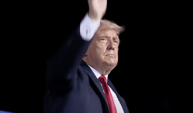 President Trump’s Latest Endorsement Against The RINO Establishment!