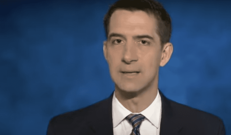 WATCH: The Walls Are Closing In On Fauci, Tom Cotton Talks Gain Of Function Research