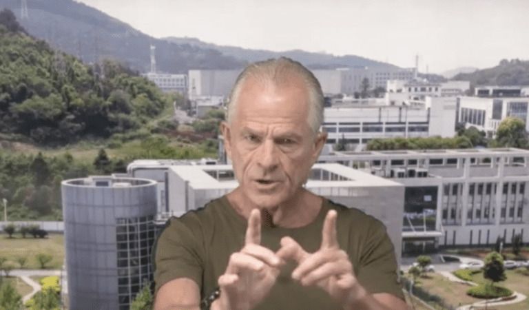 Peter Navarro: “Fauci Is Going To Be Gone Within 90 Days”