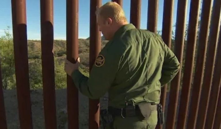 Texas Border Patrol Arrest 10 Sex Offenders This Week