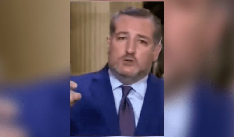 Ted Cruz Schools Joe Biden About “We The People”