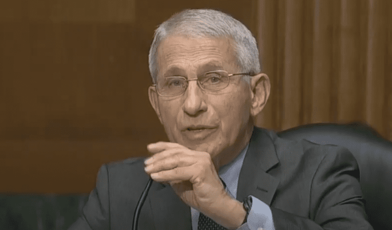 New Evidence Further Implicates Fauci