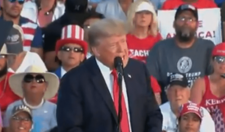 FLASHBACK: President Trump Tells The Snake Story At Rally In Ohio