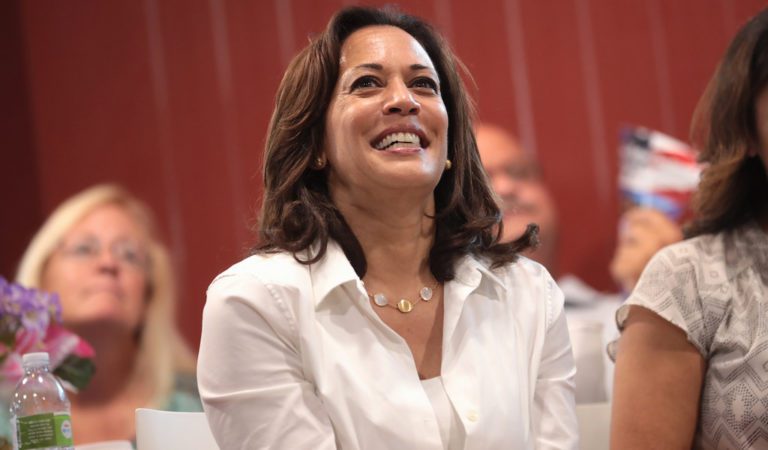 Kamala Harris’s Performance Review as Border Czar – 500 THOUSAND Illegal Immigrants Have Crossed Southern Border