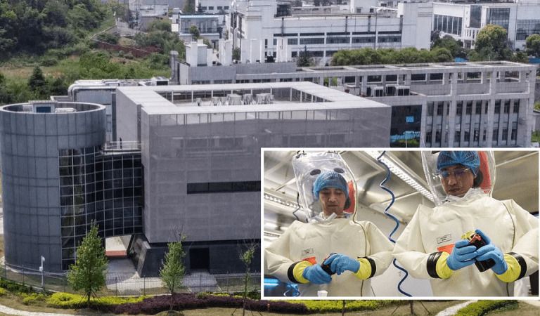 Did Google Collude with Wuhan Lab to Silence Lab Leak Theory?