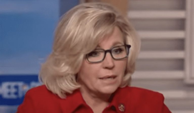 NEW President Trump Issues Statement On Liz Cheney