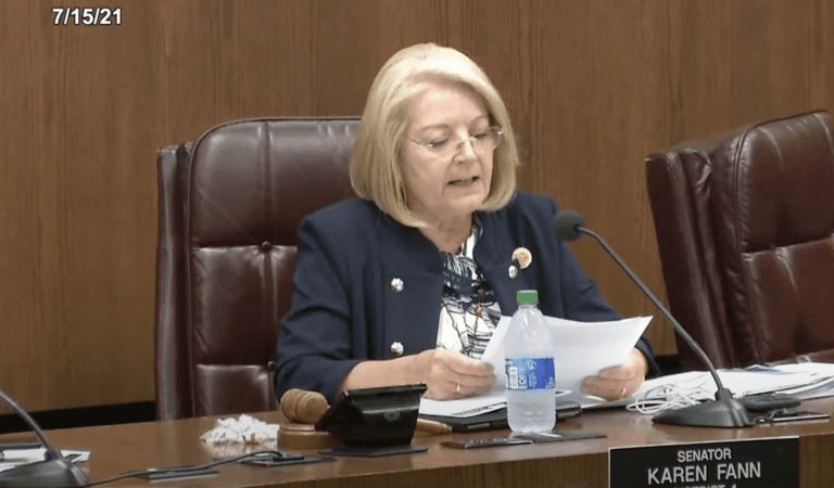 URGENT: Here’s How To Watch The AZ Audit hearing!