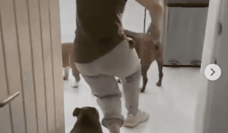 Viral Video: 34-Year-Old Woman Nearly Collapses, Spasms in Hospital After Double COVID Jab