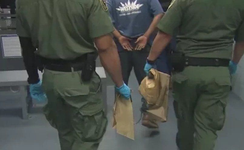 ICE Will No Longer Arrest Pregnant And Nursing Illegal Immigrants