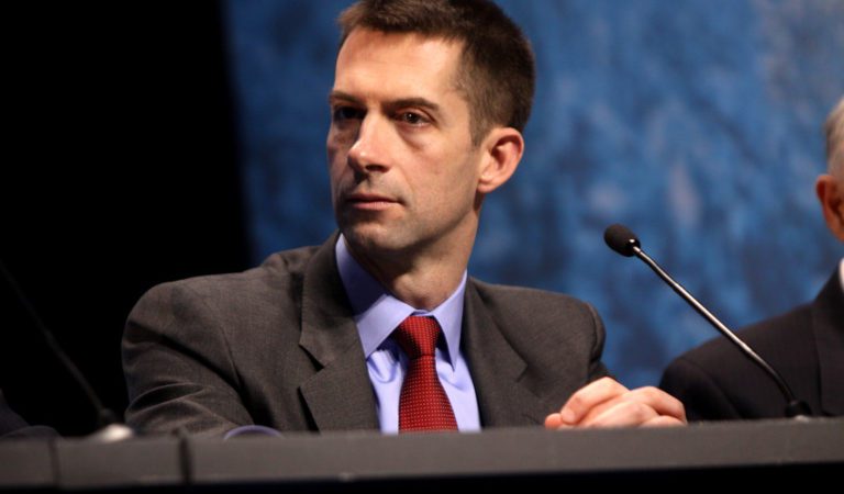 Tom Cotton Introduces Bill to Ban Critical Race Theory in the Military
