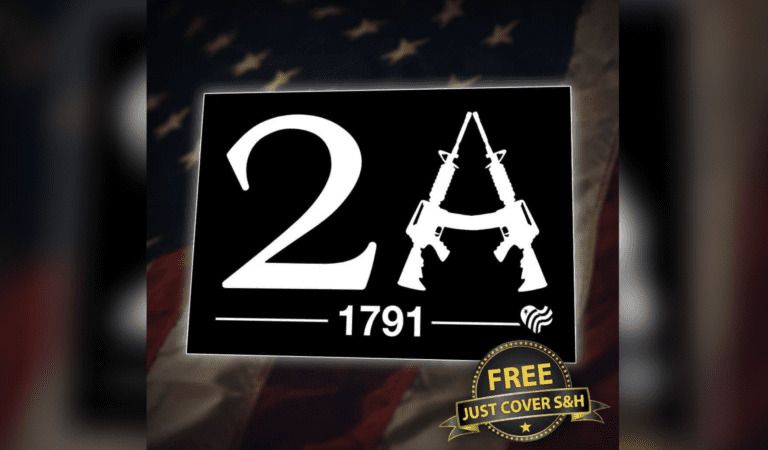 Second Amendment: More Important Now Than Ever!