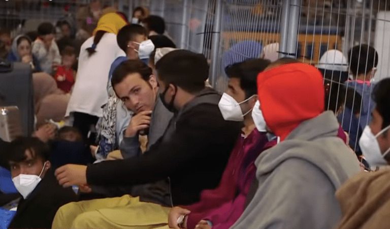 A DIRE Warning On Afghan Refugees