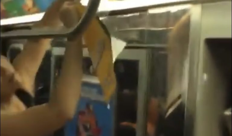 WATCH: Woman Tears Apart Communist Propaganda on NYC Subway