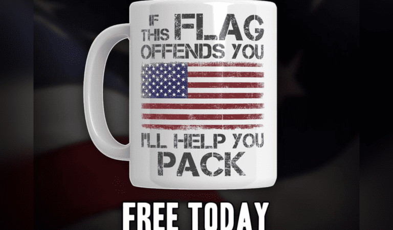 FREE TODAY (Perfect Christmas Gift): If This Flag Offends You, I’ll Help You Pack!