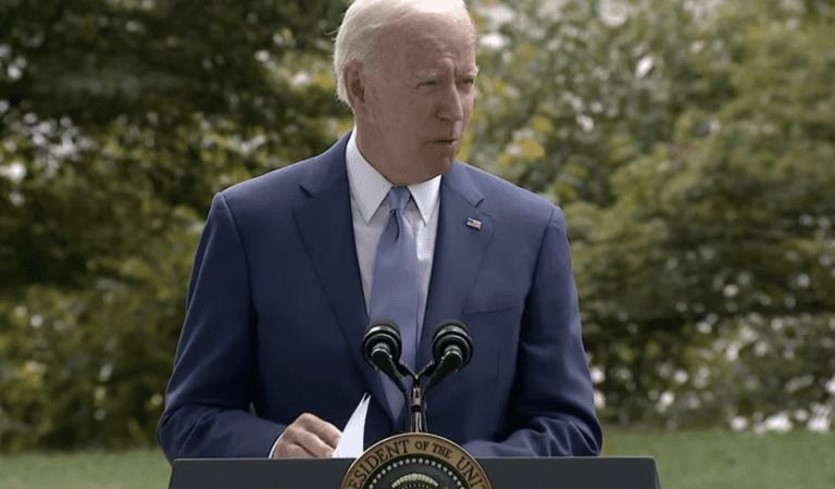 Biden Tells Truly Bizarre Story About a Little Girl and a Teddy Bear