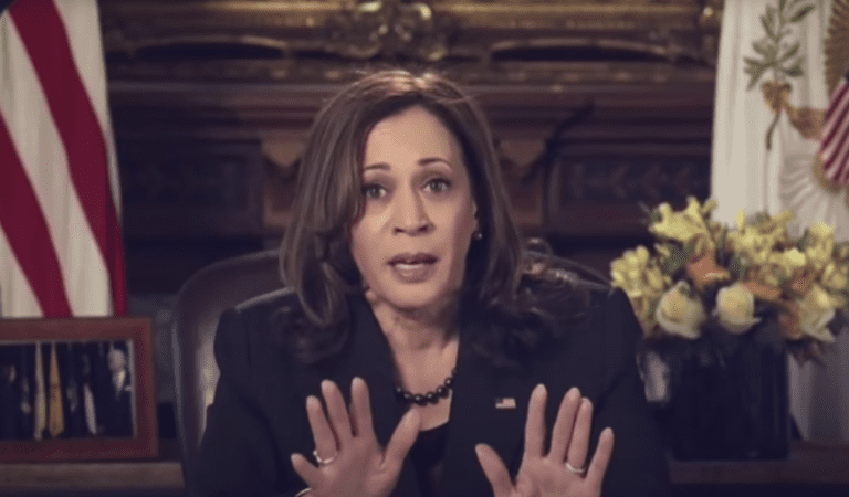 WATCH: Charlemagne And Kamala Harris Get Heated Over Who The Real President Is