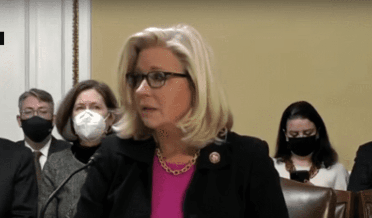 Liz Cheney Is Finally Getting What She Deserves
