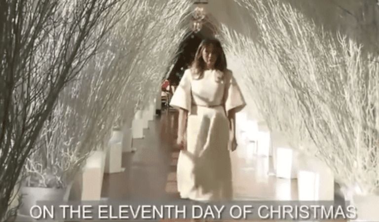 AWESOME: The 12 Days of Trump!