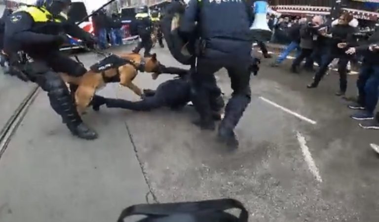 WATCH: Police Use Dogs on Anti-Lockdown Protestors in Amsterdam