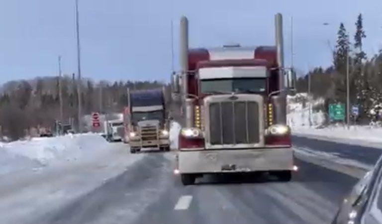 Convoy to DC: US Truckers Announce Plans for American Convoy to Washington DC; Expected to Break Canadian World Record