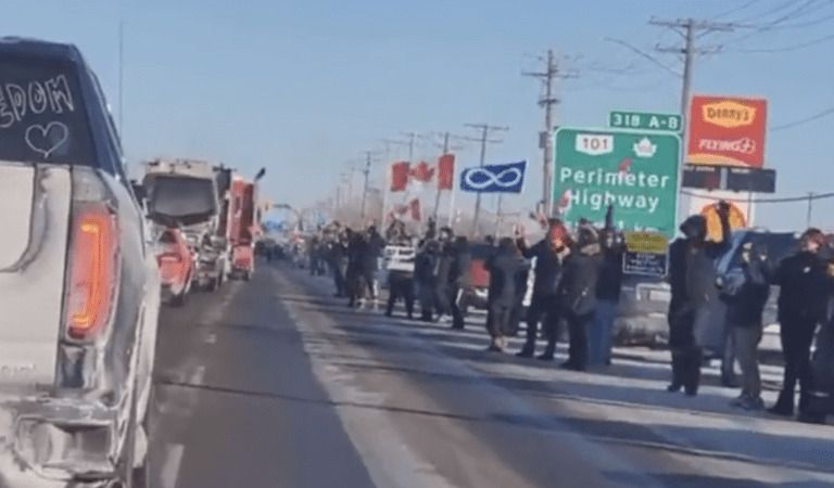 Elon Musk Comes Out In Support Of The Canadian Freedom Convoy