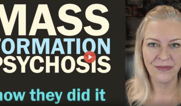 Mass Formation Psychosis: How They Did It