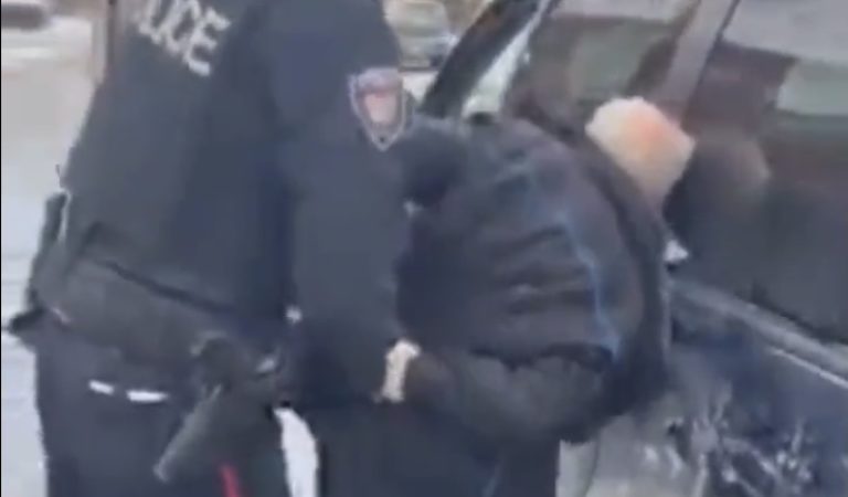 WATCH: Disgusting Footage of Ottawa Police Assaulting, Arresting Elderly Man for Honking Horn