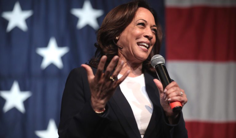 Kamala Harris-Backed Minnesota Freedom Fund Posted Bail for Man Who Told Officers “Voices” Encouraged Him to Rape Children